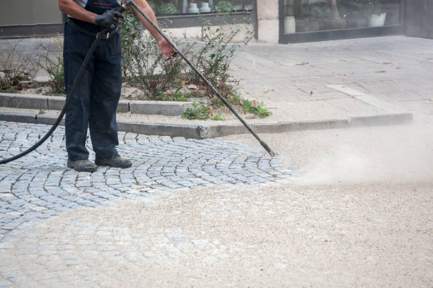 Best Pre-Holiday Cleaning  in Nesquehoning, PA